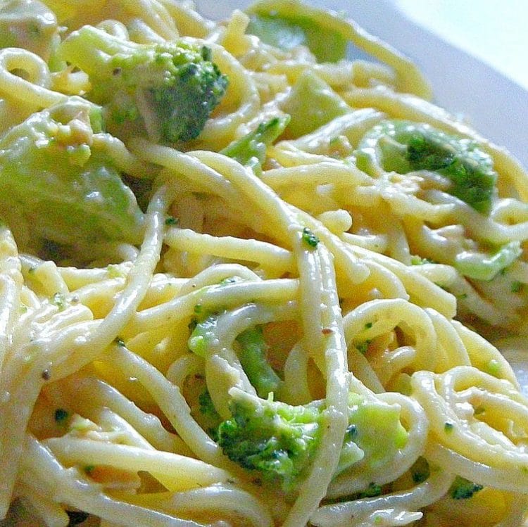 Easy Chicken Broccoli Pasta Alfredo