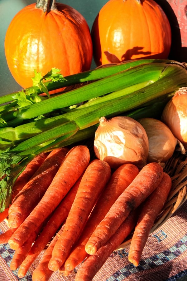 Carrots, celery and onion for vegetable stock recipe