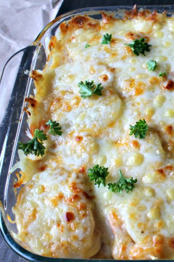 Country Ham and Potato Bake is pure southern comfort food. Delicious chunks of ham, bathed in a rich cream sauce under a melted layer of cheese is great for brunch or dinner.