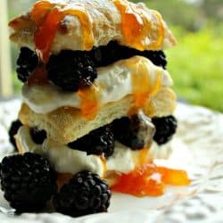 Blackberry Napoleon is a light and airy dessert recipe made from puff pastry, real whipped cream, blackberries and apricot preserves - a gorgeous and tasty finish to any meal!