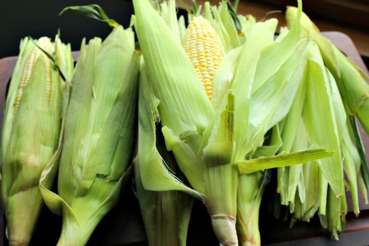 Oven Cob Corn with Chili Butter is a crunchy, spicy treat that is the perfect side dish for any meat! This roasted cob corn is steam cooked in the husk and then smeared with homemade chili butter for just a hint of heat.