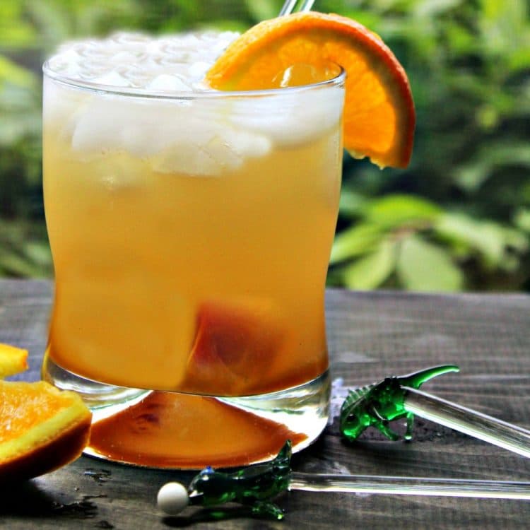 Orange Ginger Rummy Cocktail – Must Love Home