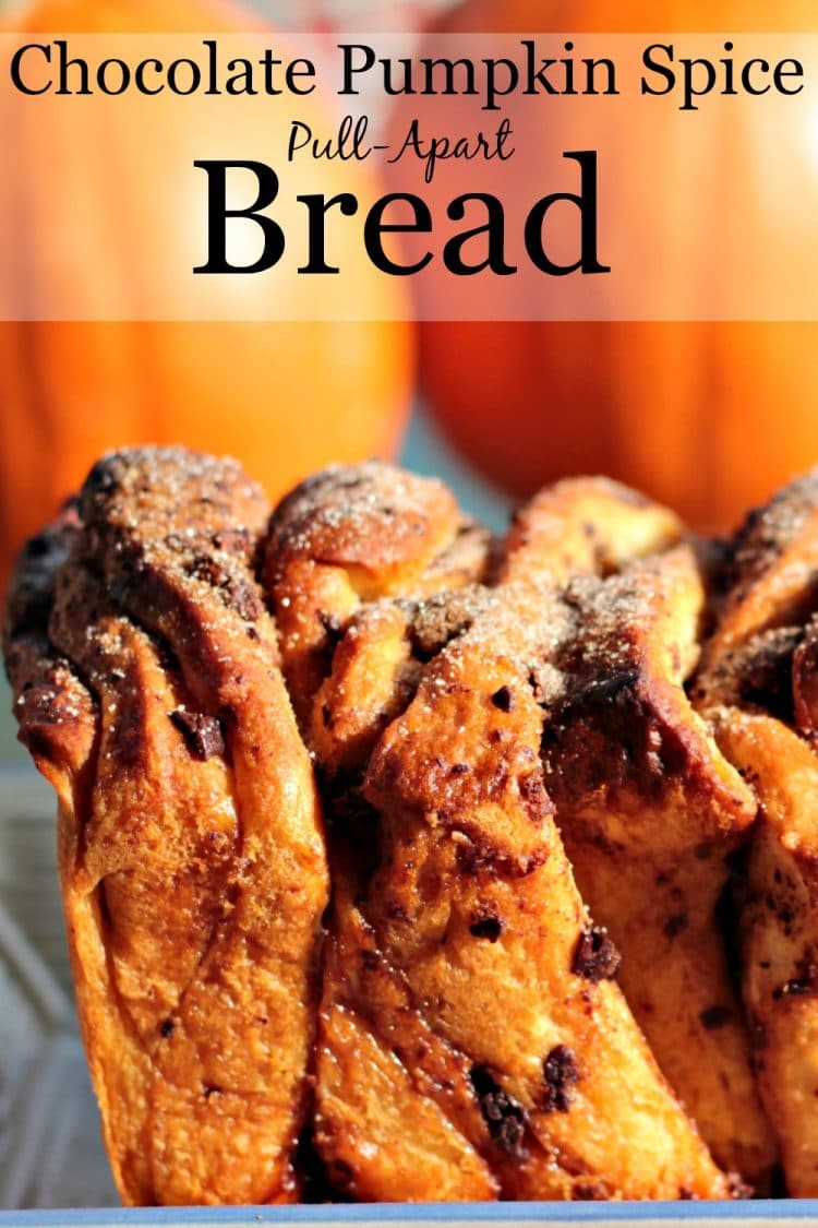 Chocolate Pumpkin Spice Pull Apart Bread is a soft, buttery loaf chock full of autumn flavors. Chocolate chips, pumpkin pie spice and frozen bread dough combine in this easy recipe that anyone can make.