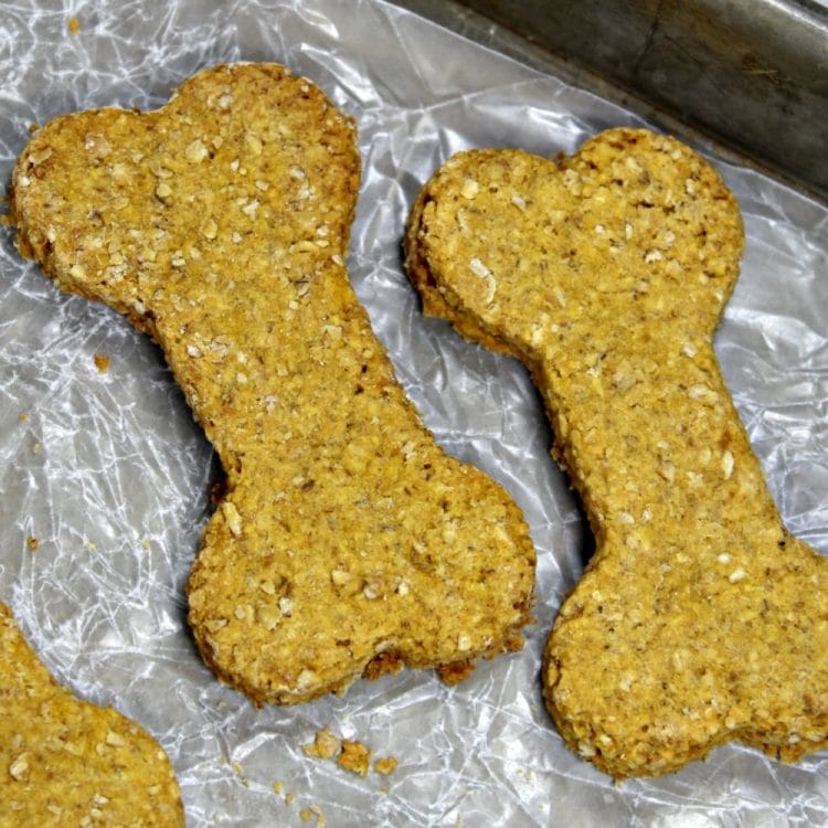 Oatmeal Pumpkin Homemade Dog Biscuits are easy to make crunchy treats that will have your best friend barking for more! Filled with wholesome ingredients like oat flour and pure pumpkin puree, you can feel good about giving them to your dog.