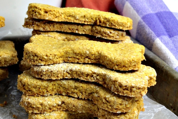 Oatmeal Pumpkin Homemade Dog Biscuits are easy to make crunchy treats that will have your best friend barking for more! Filled with wholesome ingredients like oat flour and pure pumpkin puree, you can feel good about giving them to your dog.