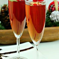 Make any occasion special with delicious Cherry Champagne Punch! Try this unique flavor combination of Cherry Liqueur and Rosemary!