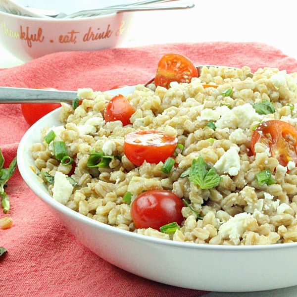 Greek Farro Tomato Salad in a white bowl