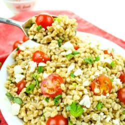 Greek Farro Tomato Salad with Feta Cheese is packed with nutty flavor, protein and nutrients. Ready in just 20 minutes, this versatile salad is a perfect pairing for any meal.