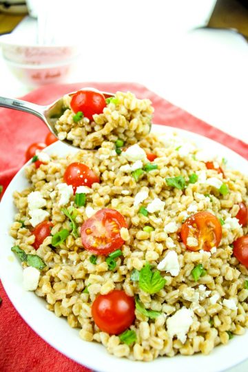 Greek Farro Tomato Salad with Feta Cheese is packed with nutty flavor, protein and nutrients. Ready in just 20 minutes, this versatile salad is a perfect pairing for any meal.