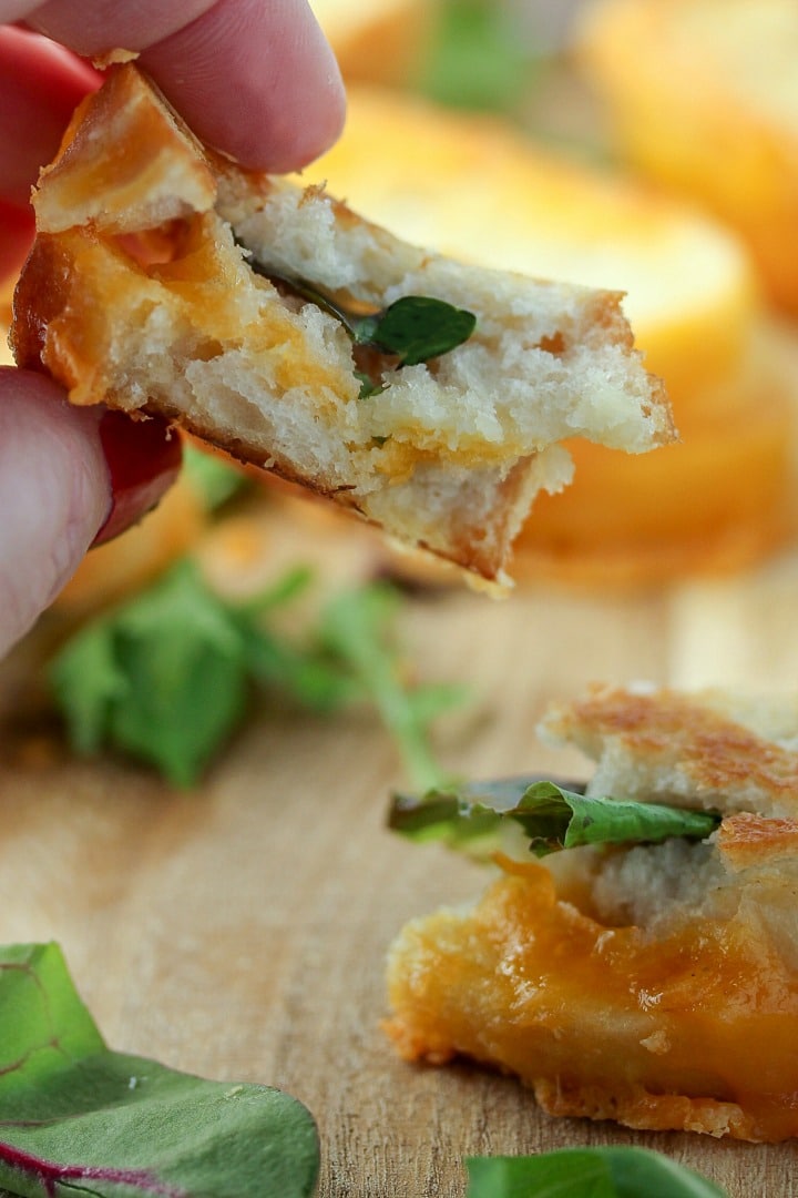 Dripping with gooey cheese, 20 Minute Mini Grilled Cheese Appetizers are a twist on the classic that everyone will love. Make a bunch of these diner-style specials because they disappear fast and your crowd will be clamoring for more!