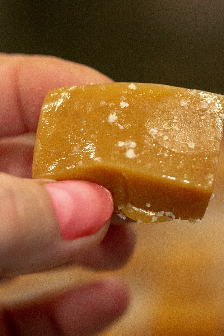 Salted Chewy Caramels are easy to make little bites of sweet vanilla comfort. Buttery and soft - great for wrapping individually or using in recipes!