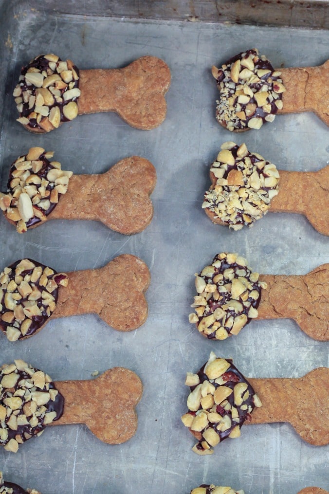 Treat your furry friends to a carob peanut butter dog treat snack!  Make ahead and freezer friendly!