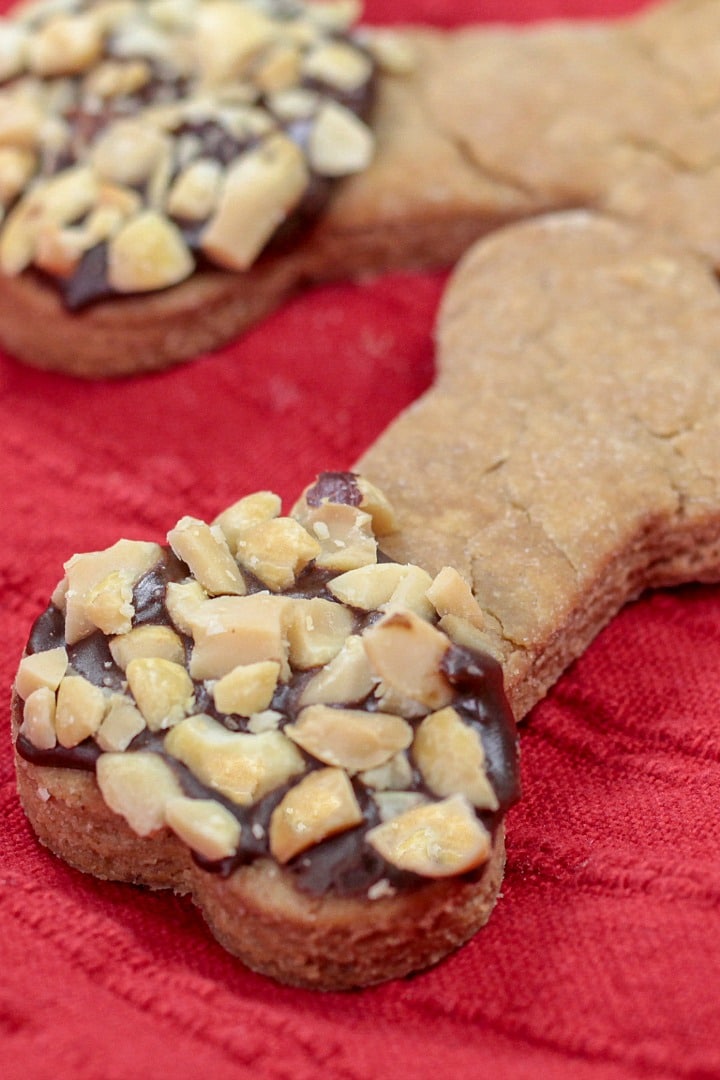 Treat your furry friends to a nutty, carob coated snack!  Make ahead and freezer friendly!