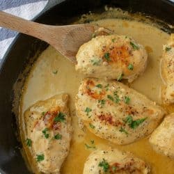 Creamy French Mustard Chicken