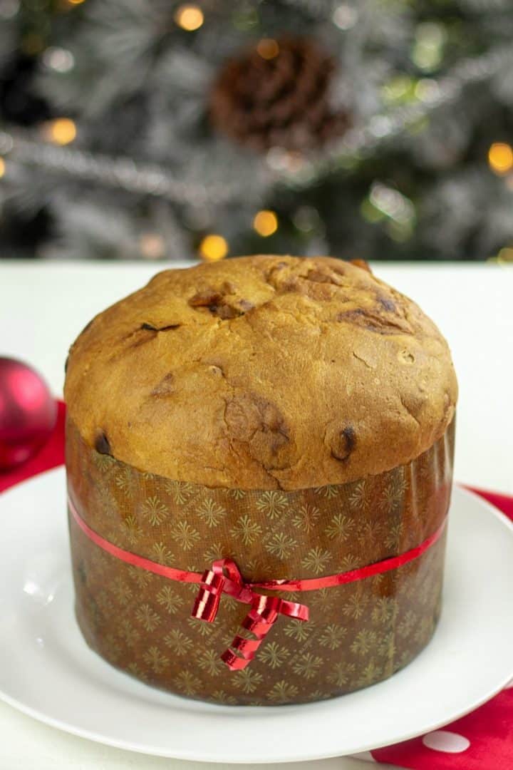 Easy Holiday Panettone Cream Cake