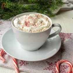 Ditch the packets and make some deliciously easy Peppermint Hot Chocolate in just a few minutes!