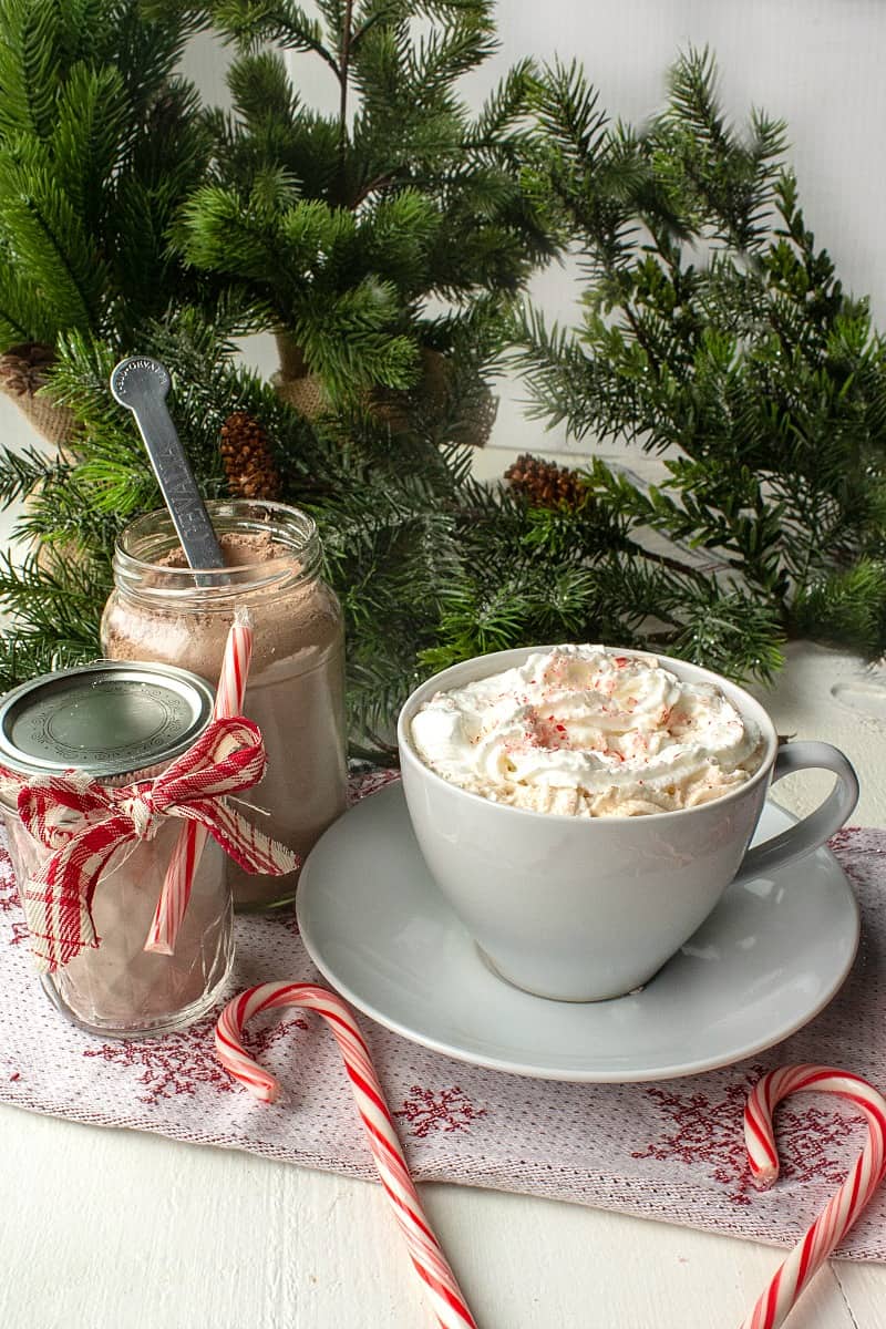 Make delicious and easy Peppermint Hot Chocolate Mix is minutes with cocoa, powdered milk and sugar.