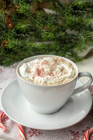 Ditch the packets and make some deliciously easy Peppermint Hot Chocolate in just a few minutes!