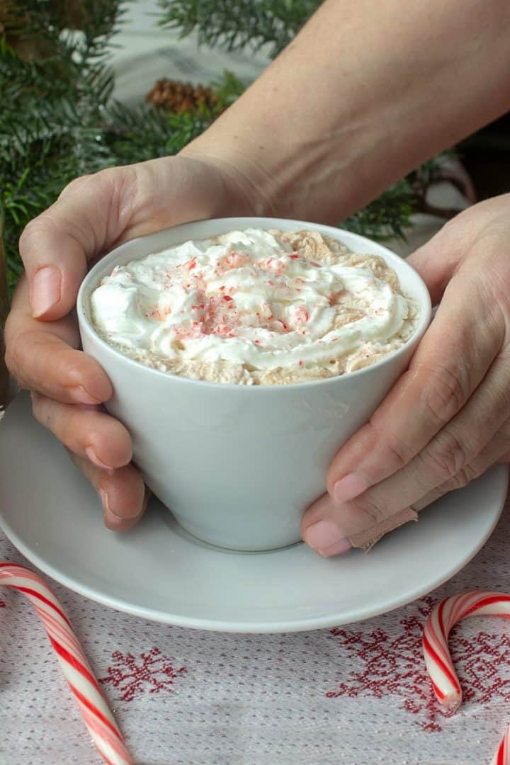 Ditch the packets and make some deliciously easy Peppermint Hot Chocolate in just a few minutes!