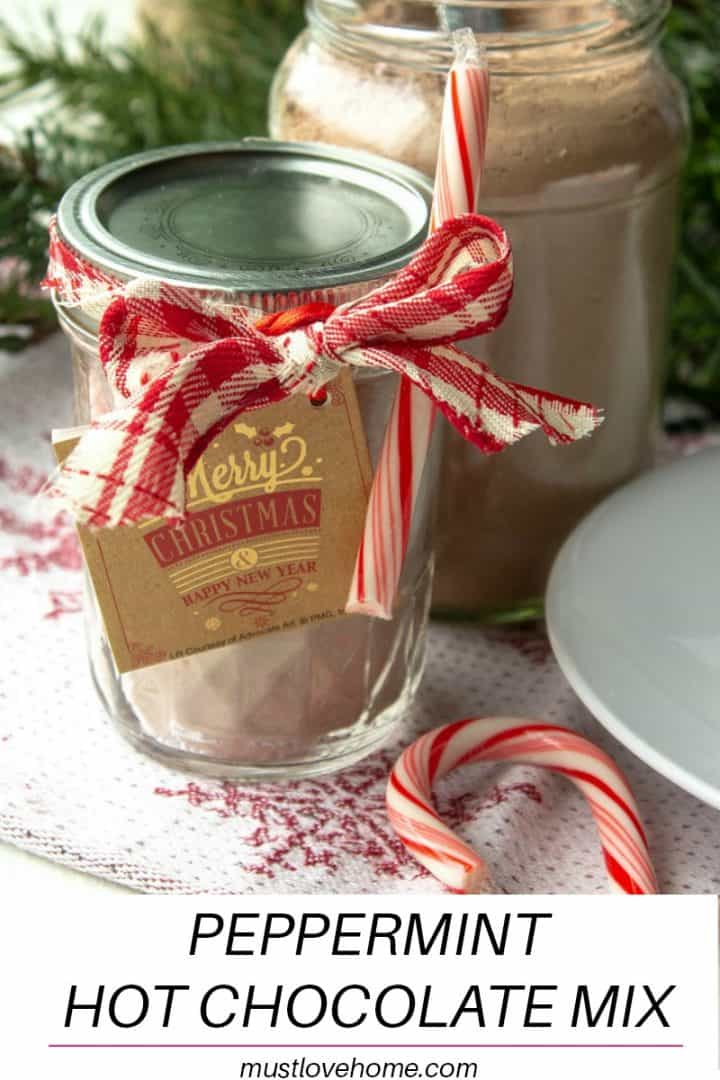 Ditch the packets and make some deliciously easy Peppermint Hot Chocolate in just a few minutes!