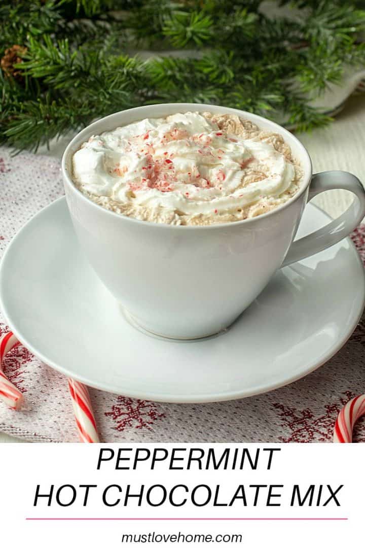 Ditch the packets and make some deliciously easy Peppermint Hot Chocolate in just a few minutes!