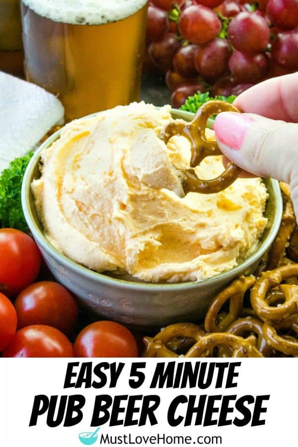 Easy Pub Style Beer Cheese Dip - served warm or cold, this dip is a winner! Great for Game Day or any occasion where you want a creamy cheese snack.
