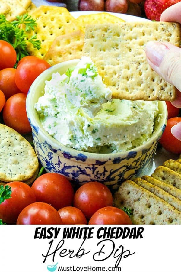 Make this full of flavor White Cheddar Herb Dip, with cheddar cheese, cream cheese, green onions and seasonings in only 5 minutes!