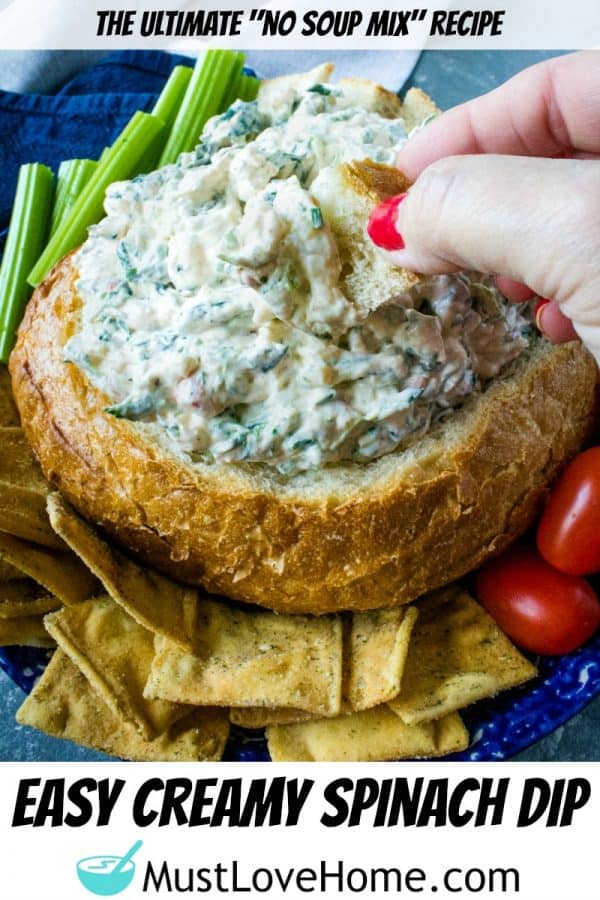 Learn to make Easy Spinach Dip Recipe with spinach, bell pepper, water chestnuts and a seasoned sauce that tastes amazing!