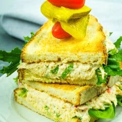 Best Ever Chicken Salad - Shredded chicken, red bell pepper, green onions, celery, nuts and seasonings make this classic salad a tasty anytime sandwich topping!