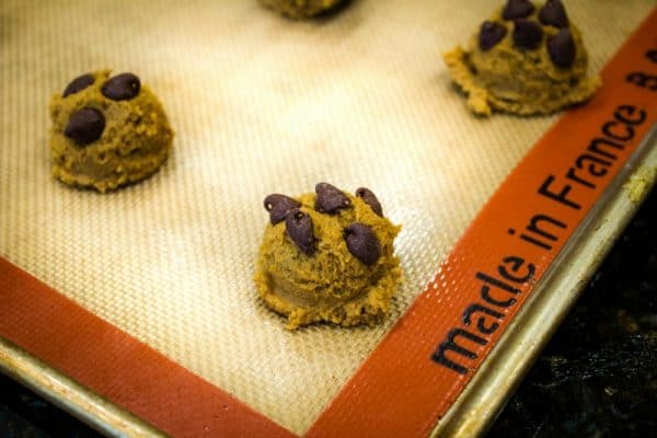 Chewy Molasses Chocolate Chip Cookie dough rolled and studded with dark chocolate chips.