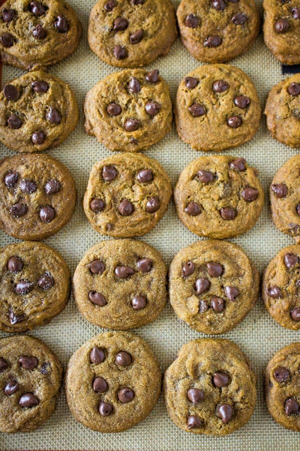 Chewy Molasses Chocolate Chip Cookies are amazingly soft, perfectly spiced and chock full of dark chocolate chips. A holiday favorite and great for gift giving too!