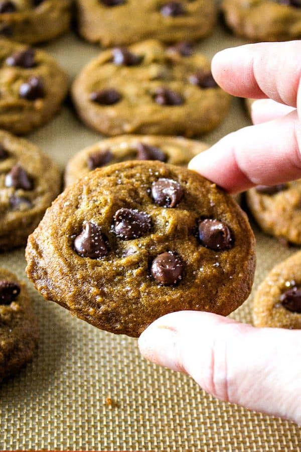 Chewy Molasses Chocolate Chip Cookies are amazingly soft, perfectly spiced and chock full of dark chocolate chips.