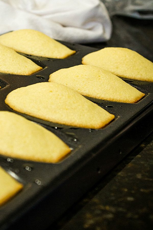 Easy Holiday Madeleines - French butter cookie cakes that are golden crisp on the outside and soft and spongy in the middle. These teacakes, dipped in white chocolate and decorated for the holidays, are surprisingly easy to make with the most basic ingredients. 