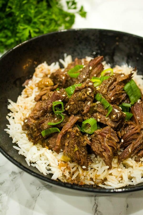 Freezer Meal Korean Barbecue Beef - flat out delicious blend of beef, garlic soy sauce, ginger and a pinch of heat.