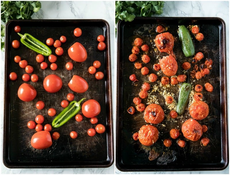 Blackened tomatoes, jalapenos, green onions and olive oil seasoned with lime and honey. It's homemade tomato salsa that's fresh and full of flavor to dip your favorite tortilla chips into. #mustlovehomecooking #salsarecipe